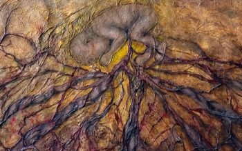 The Umbilical